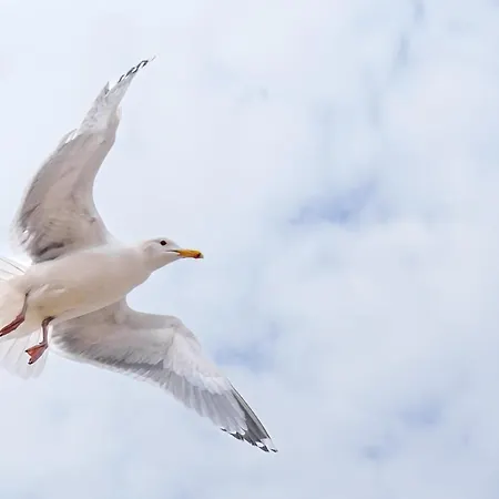 Kleine Auszeit * Graal-Mueritz