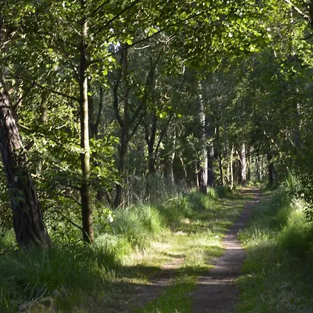 Kleine Auszeit * Graal-Mueritz